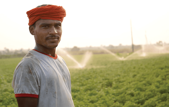 Indian farmer standing in a green agricultural field with sprinklers running in the background, symbolizing irrigation and rural development